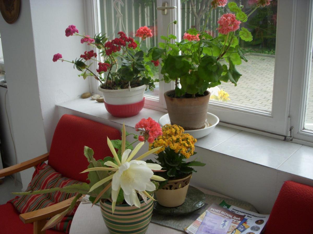 39号花园小屋公寓 塞格德 外观 照片