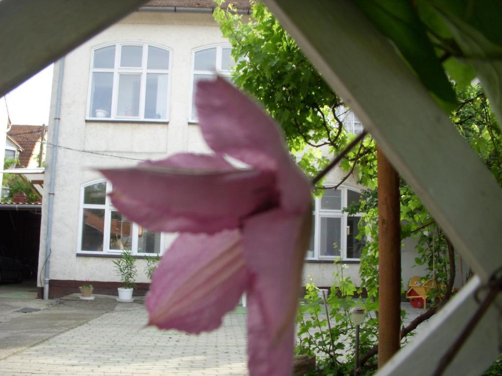 39号花园小屋公寓 塞格德 外观 照片